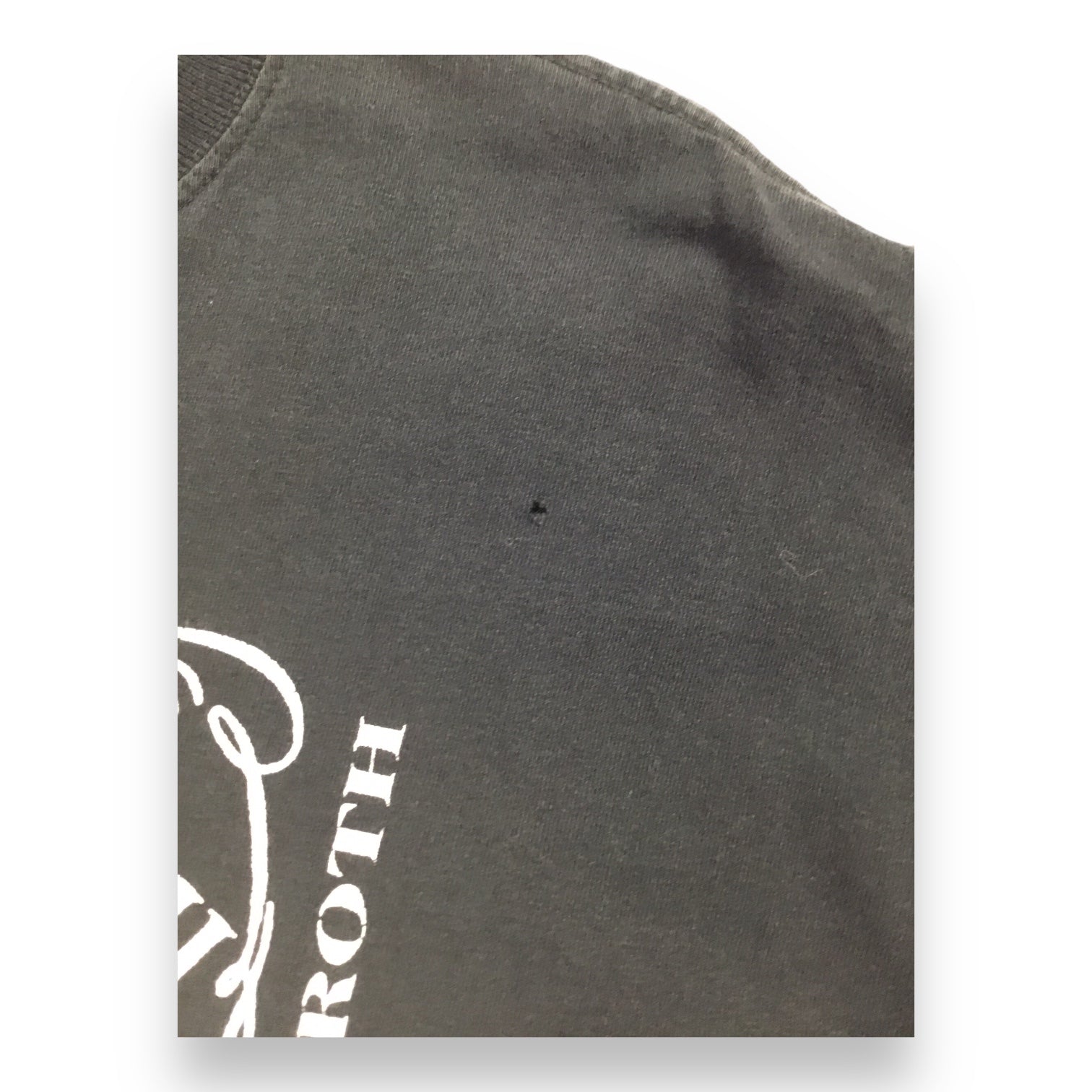 David Lee Roth - World Tour '99 Men's T-Shirt