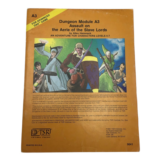 Dungeons & Dragons Module A3 Assault on the Aerie of the Slave Lords 1981