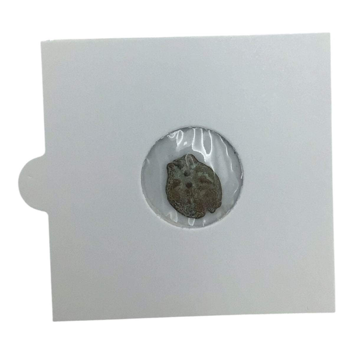 The Biblical Widow's Mite Bronze Coin of Judaea w/ COA