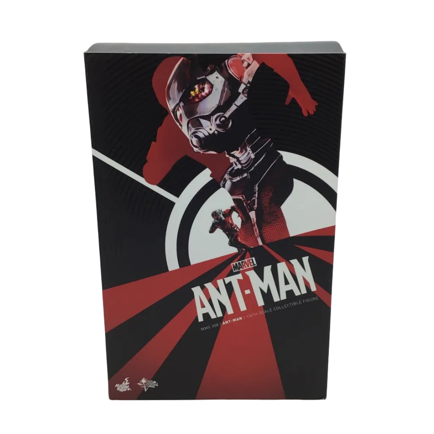 Hot Toys Marvel Ant-Man 1/6 Scale Collectible Figure - MMS308