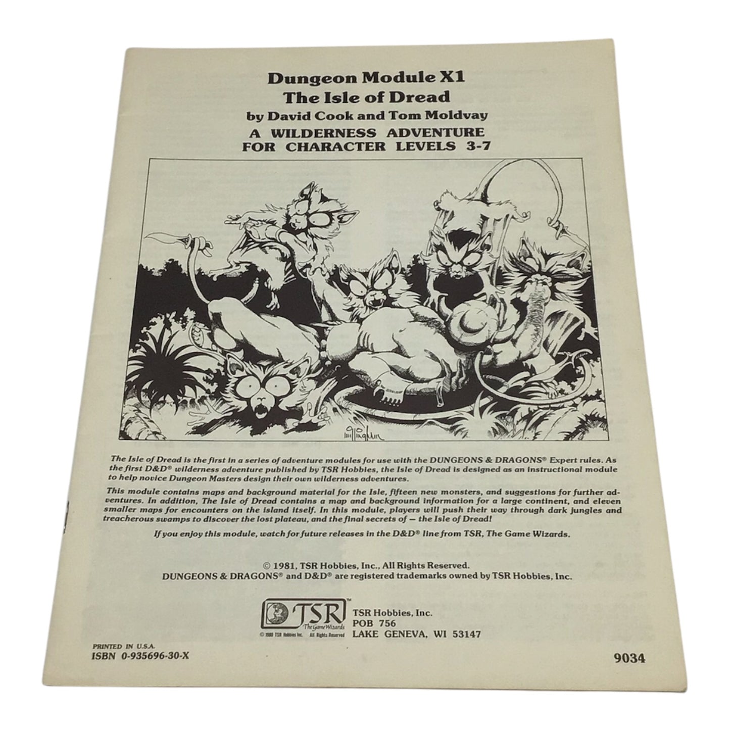 Dungeons & Dragons Module X1 The Isle of Dread #9043 1981