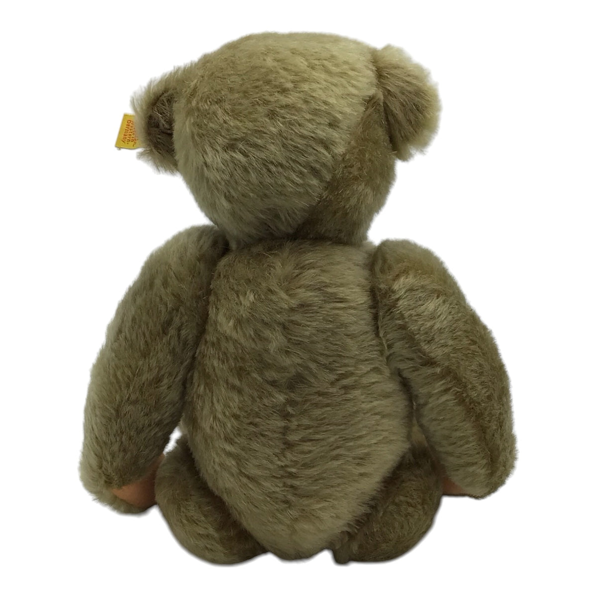 German Steiff Golden Brown Teddy Bear 0155/32 w/ Makers Label & Ear Button