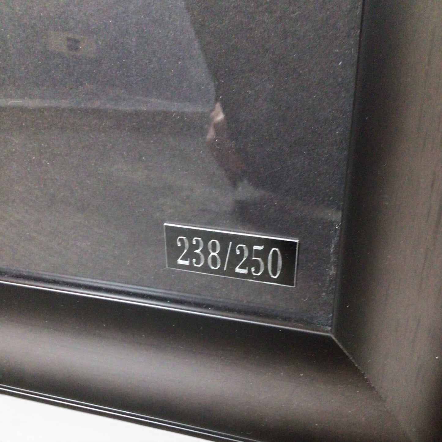 Framed Marilyn Monroe Double Giclee w/ One Print Hand Embellished 238/250