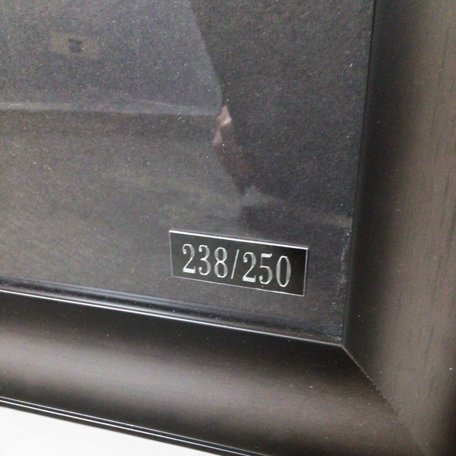 Framed Marilyn Monroe Double Giclee w/ One Print Hand Embellished 238/250