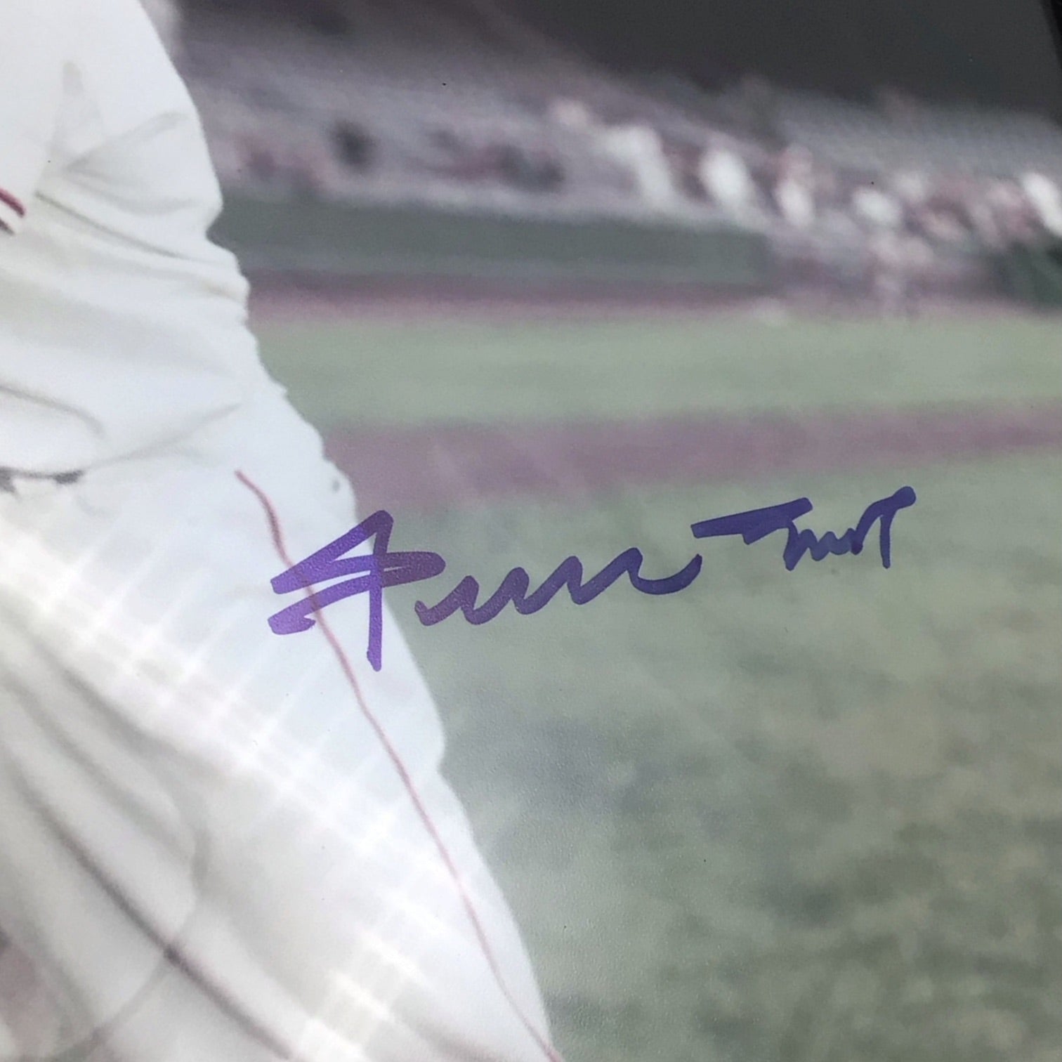 Framed Willie Mays Signed Photo