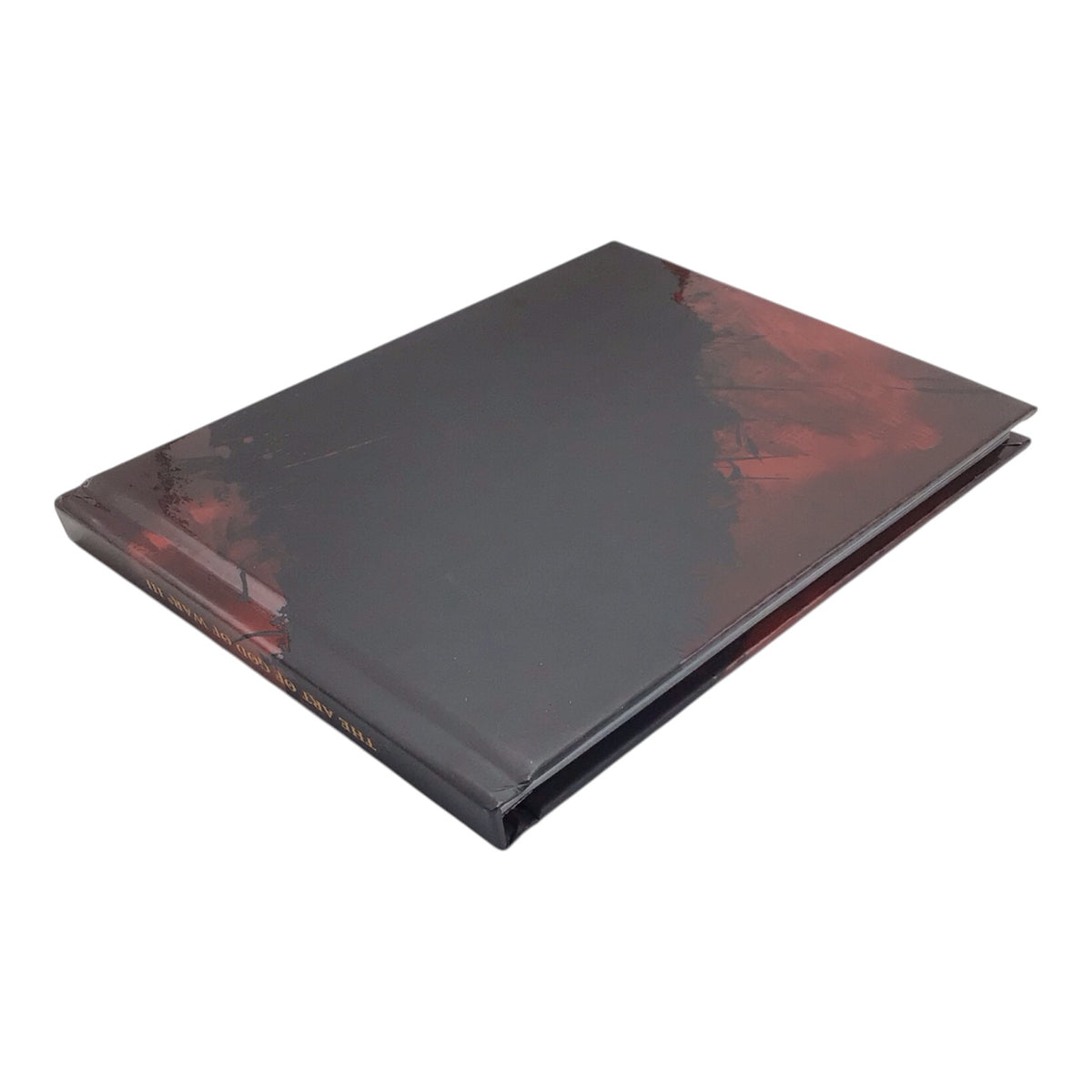 God of War 3 Collector's Edition - No Game