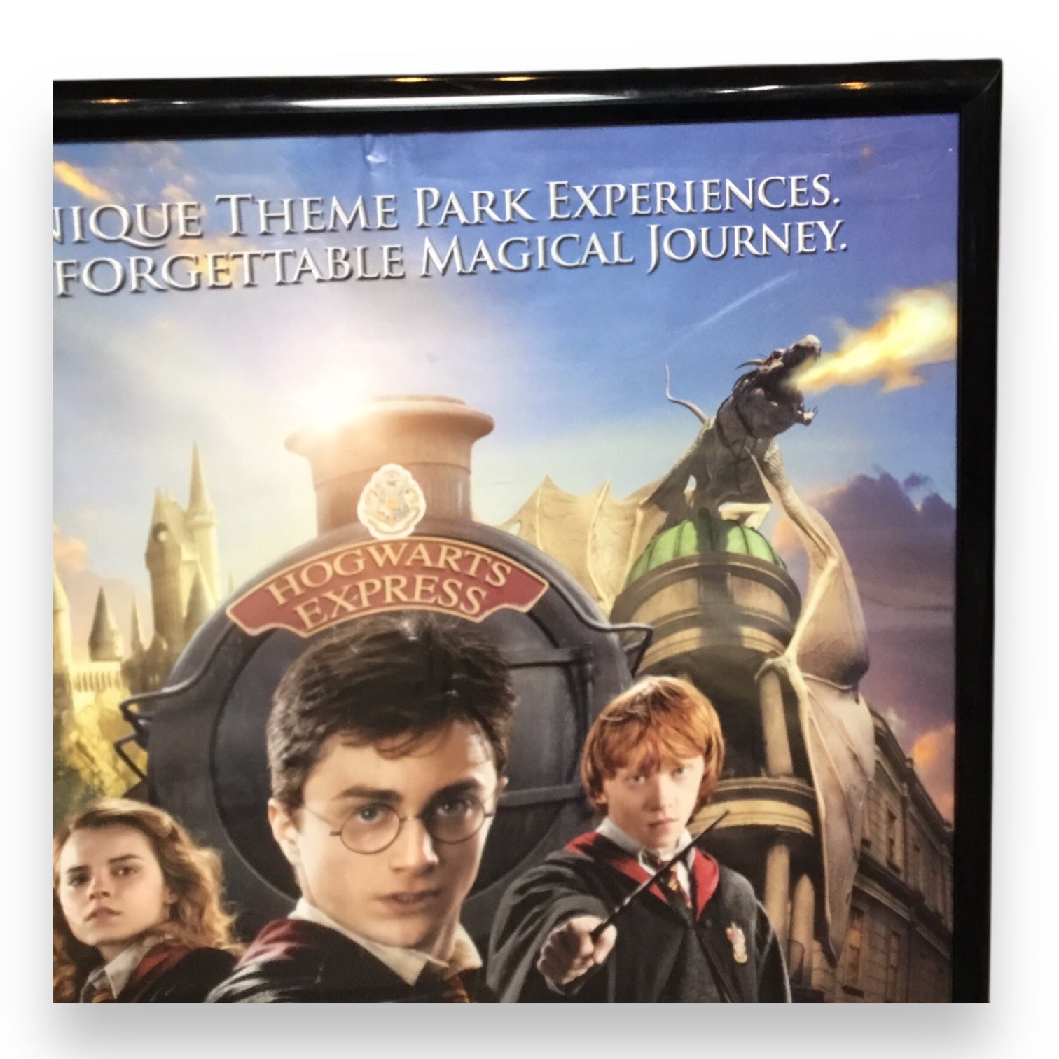 Harry Potter Universal Studios Orlando Promotional Poster