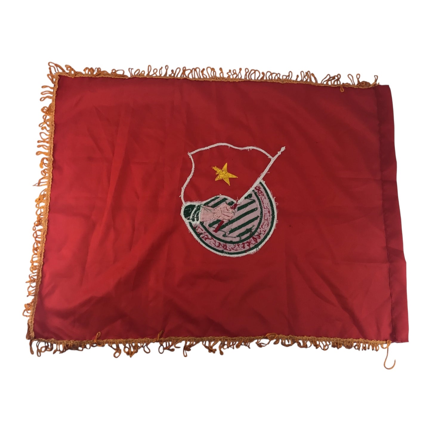 Ho Chi Minh Communist Youth Union Flag