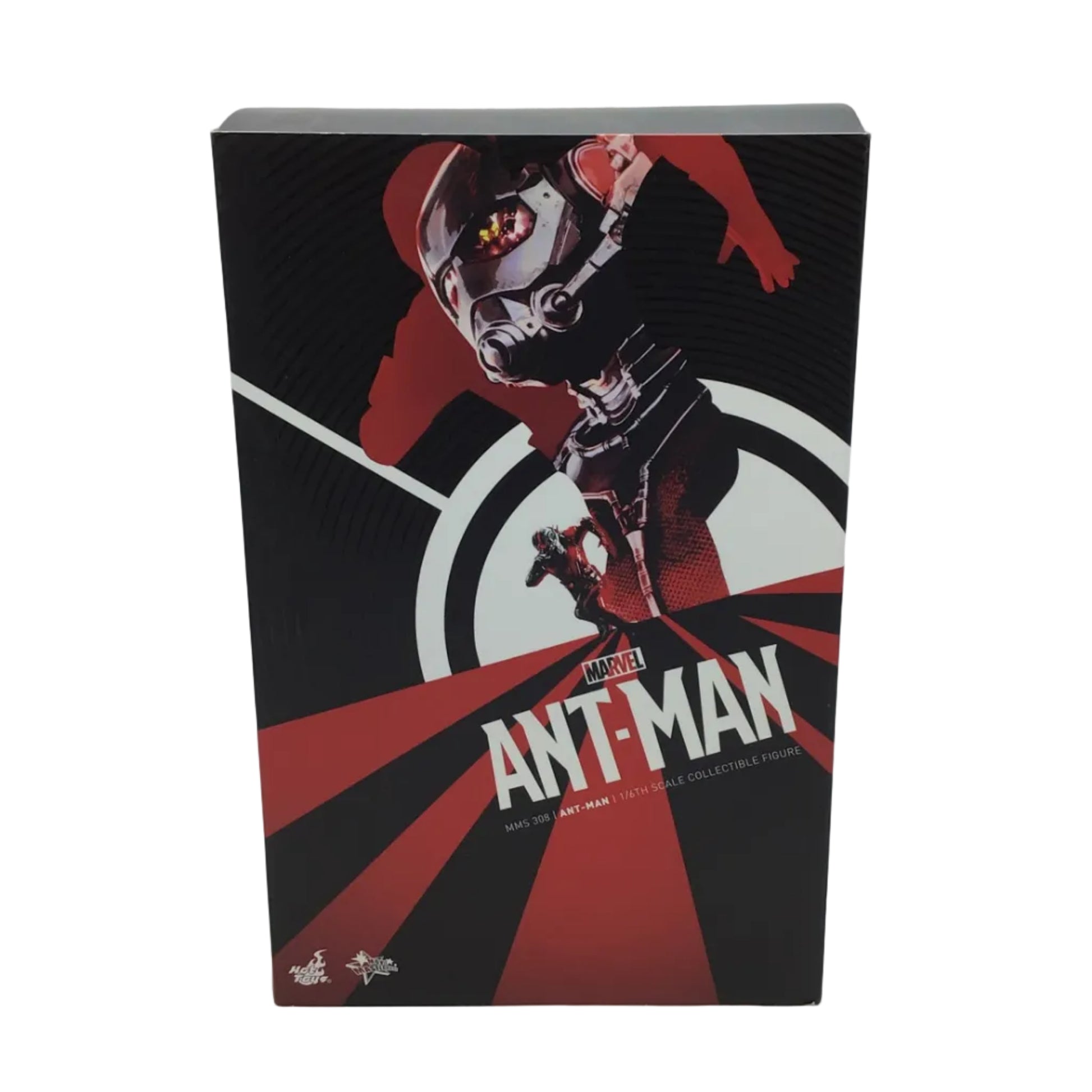 Hot Toys Marvel Ant-Man 1/6 Scale Collectible Figure - MMS308
