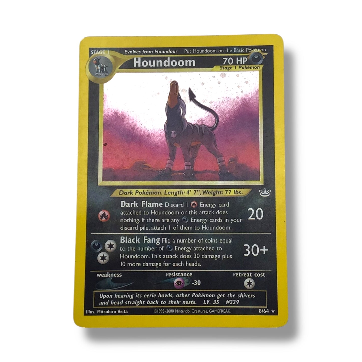 Houndoom (Holo) Pokémon Card - Neo Revelation