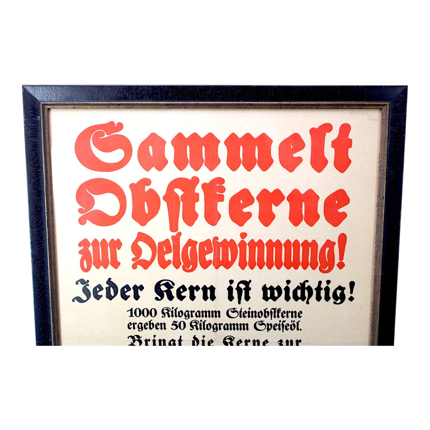 German WW2 Rare Wartime Berlin Homefront Seed Collection Poster professionally framed.