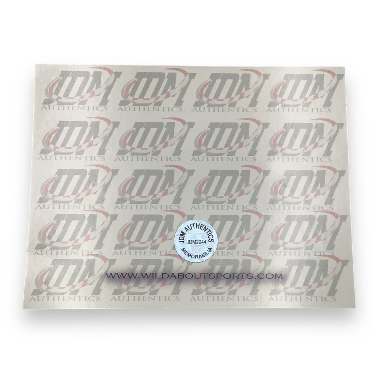 Jerry Rice & Joe Montana San Francisco 49ers Signed Framed Photo Collage