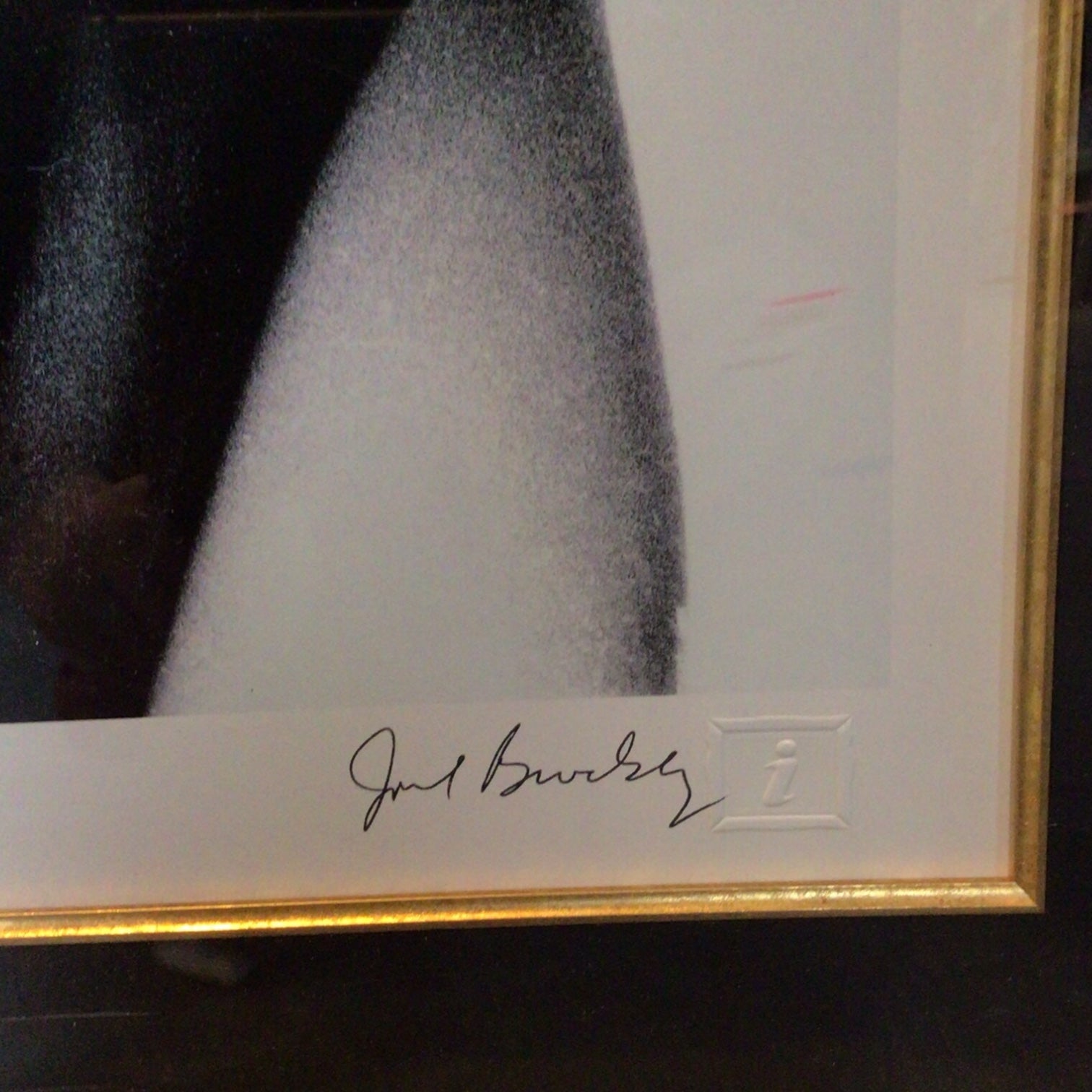 Jim Morrison The Doors Lithograph Print - Limited Edition Signed by Joel Brodsky