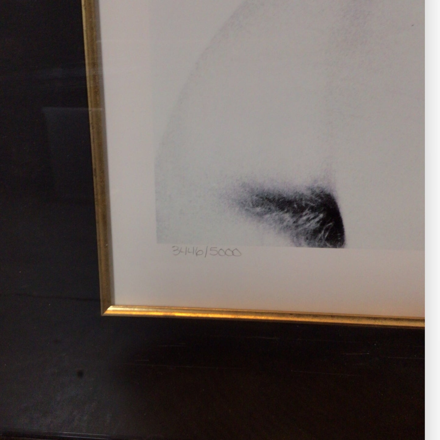 Jim Morrison The Doors Lithograph Print - Limited Edition Signed by Joel Brodsky