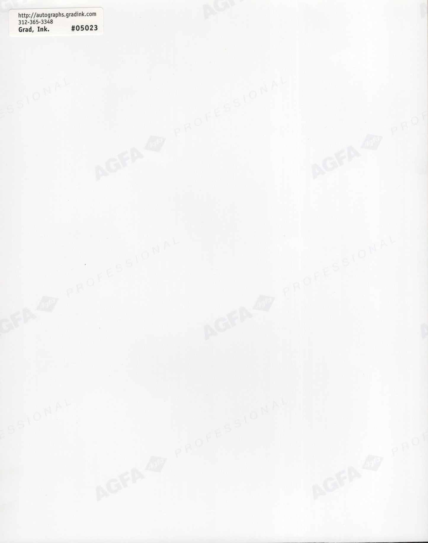 Jimmy Carter Signed Photo 8x10, 39th US President, JSA PSA Certified UU42210