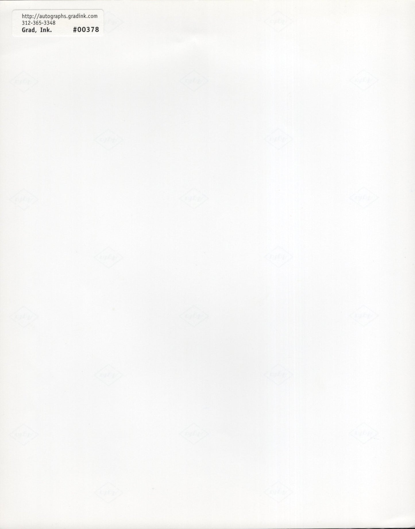 Joe Pesci Signed 8x10 B&W Photo in The Super, PSA Letter Certified Authentic