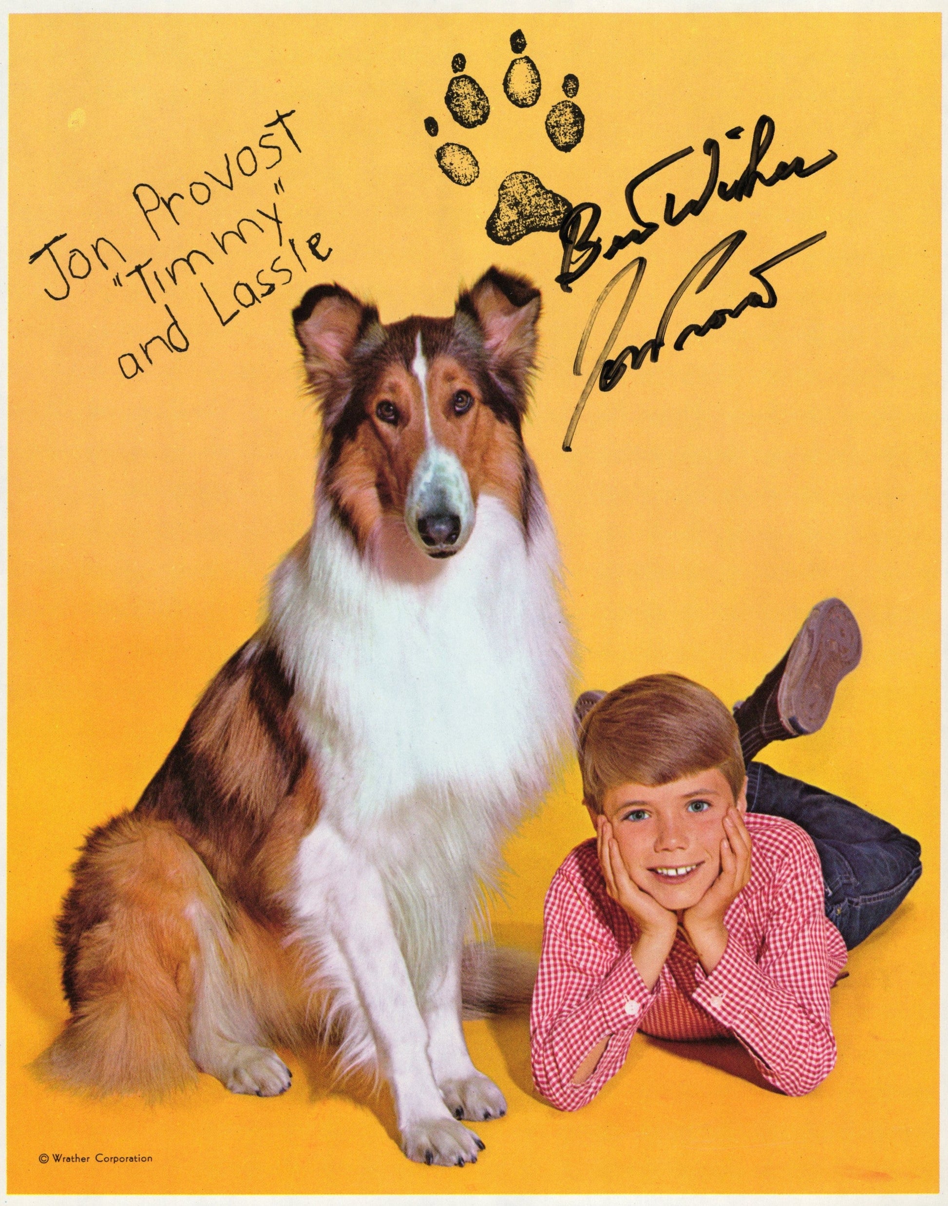 Jon Provost "Timmy" and Lassie Signed Photo 8x10, Personalized "Best Wishes"