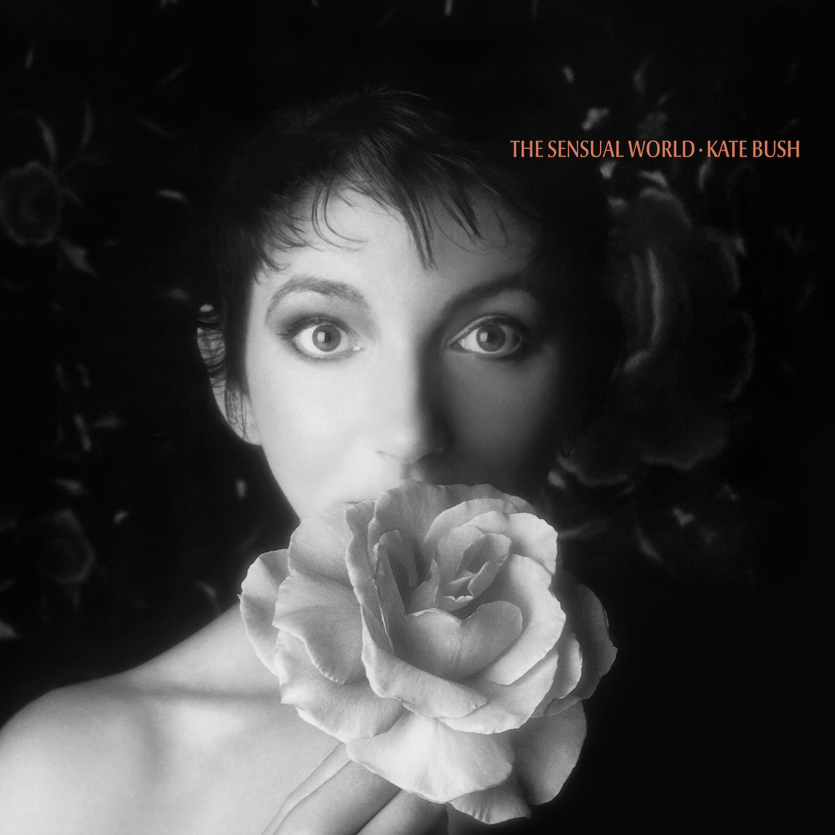 Kate Bush The Sensual World (Vinyl LP 12") Ash Grey 2018 Remaster