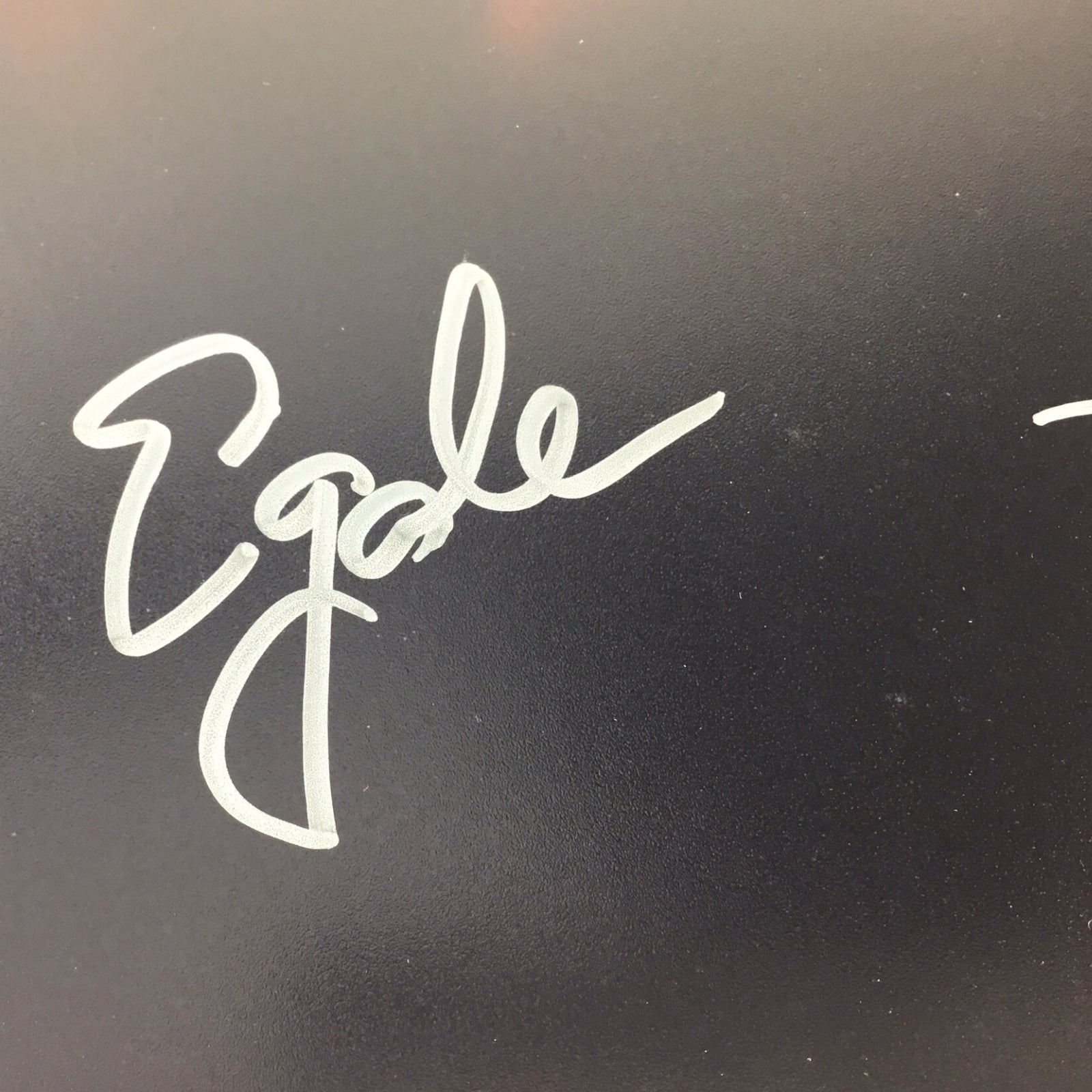 Lea Thompson / Ed Gale Signed 11x14 Photo - Howard the Duck (Beckett Certified)