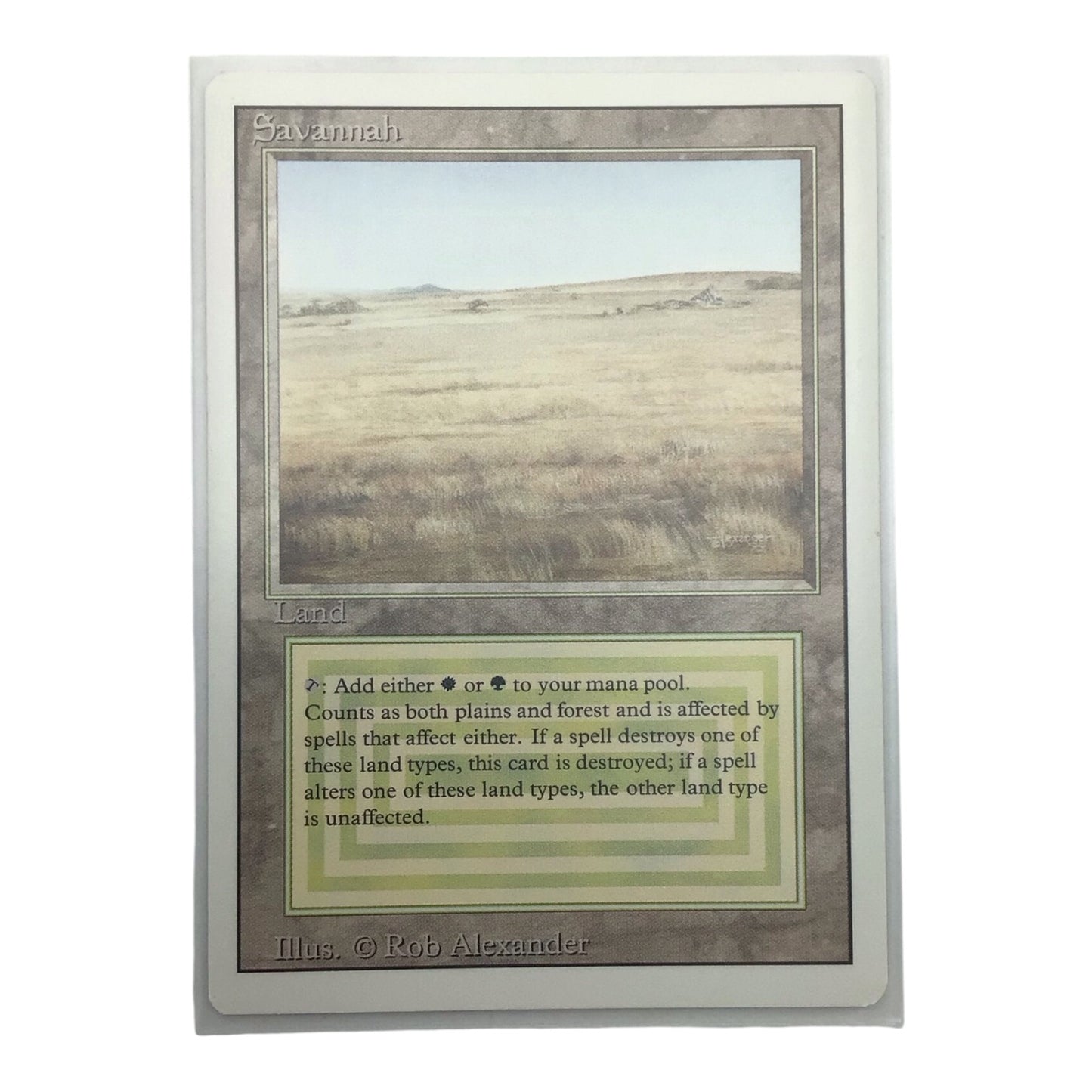 MTG Savannah Revised Edition - Near Mint