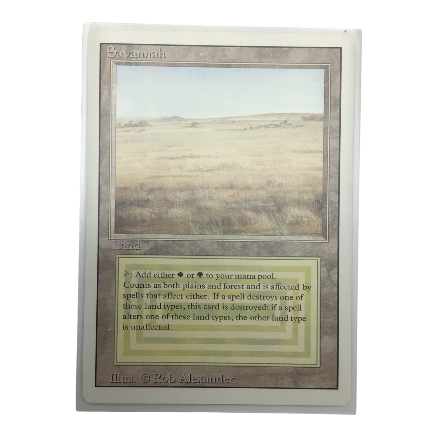 MTG Savannah Revised Edition - Near Mint