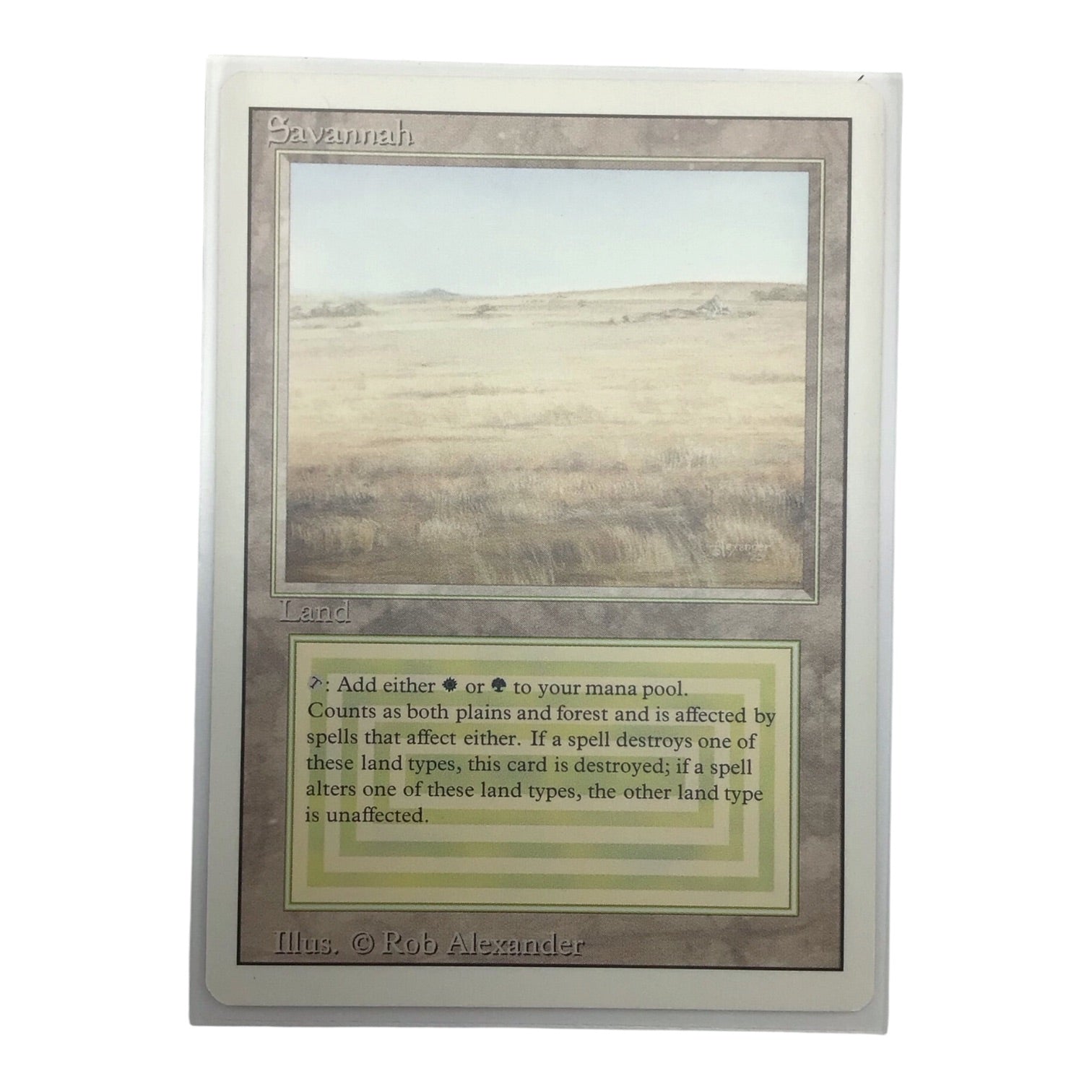 MTG Savannah Revised Edition - Near Mint