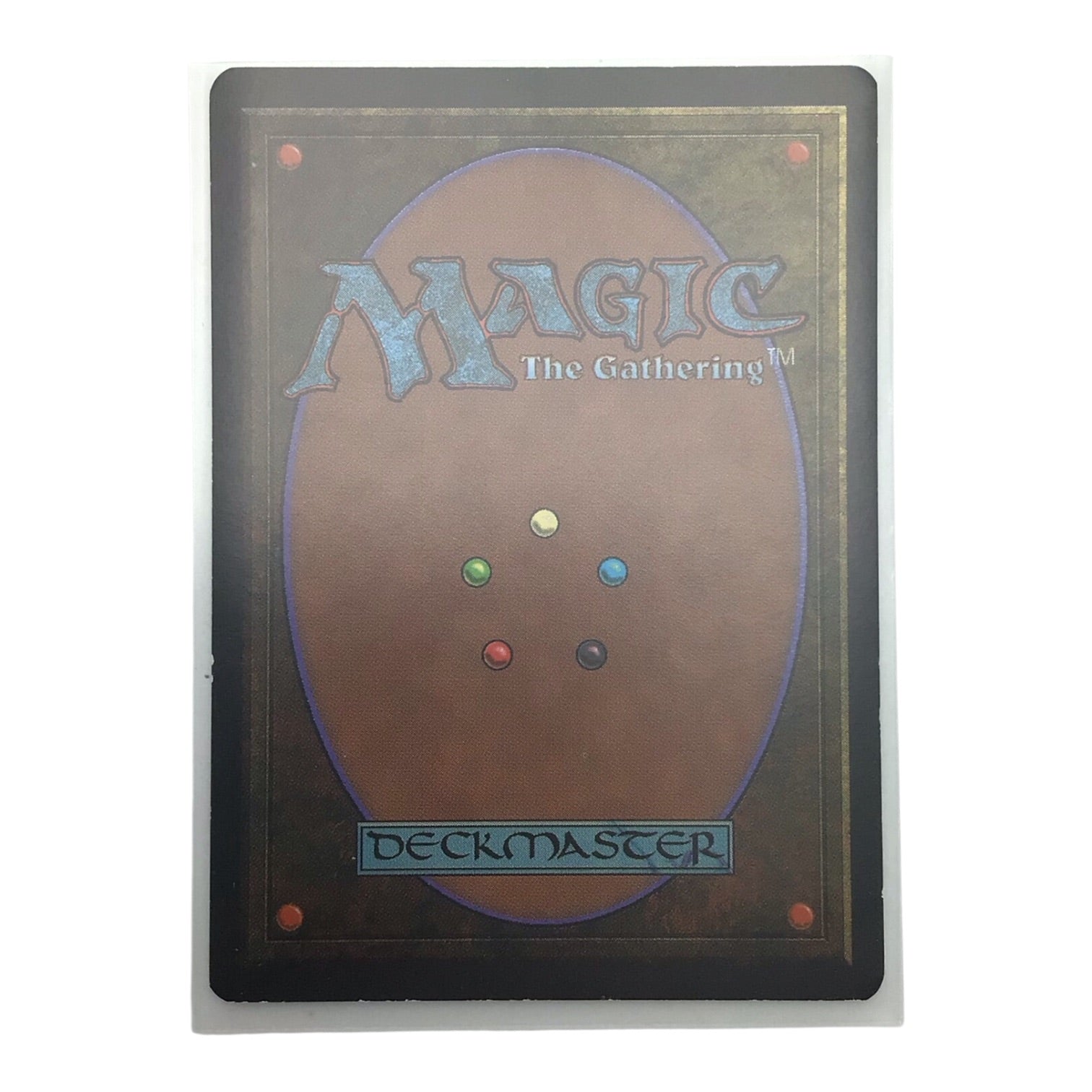 MTG Taiga Revised Edition - Lightly Played