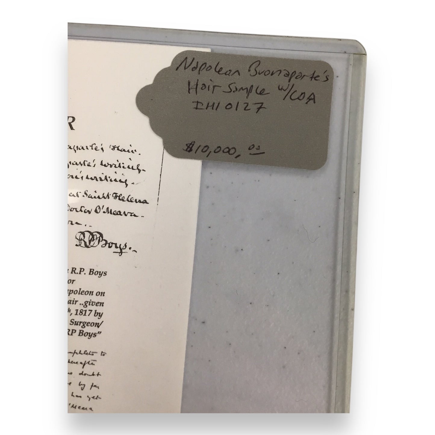 Napolean Buonaparte Hair Clipping with Certificate of Authenticity