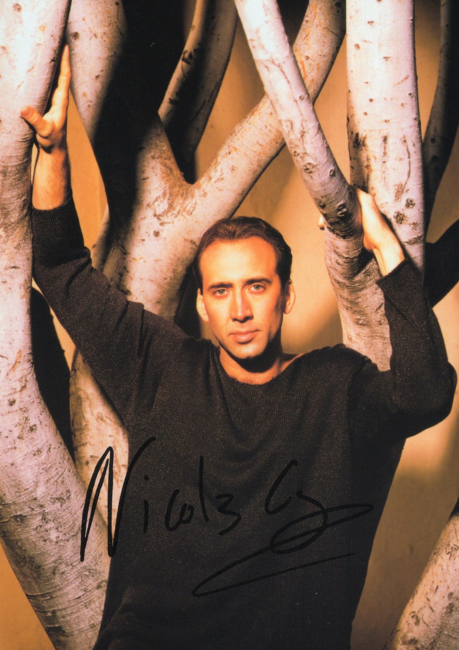 Nicolas Cage Signed Photo 5x7, Nicolas Cage Autograph with Trees