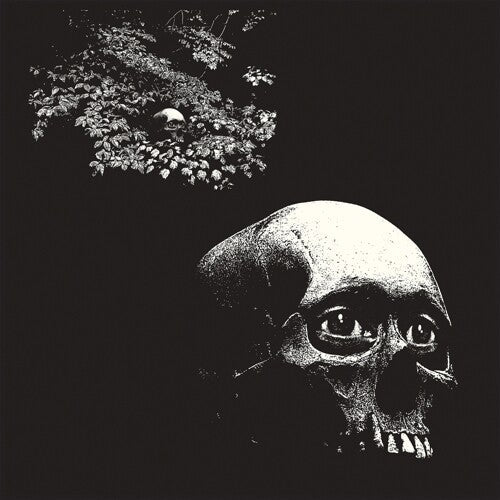 Osees - A Foul Form | Vinyl LP Album