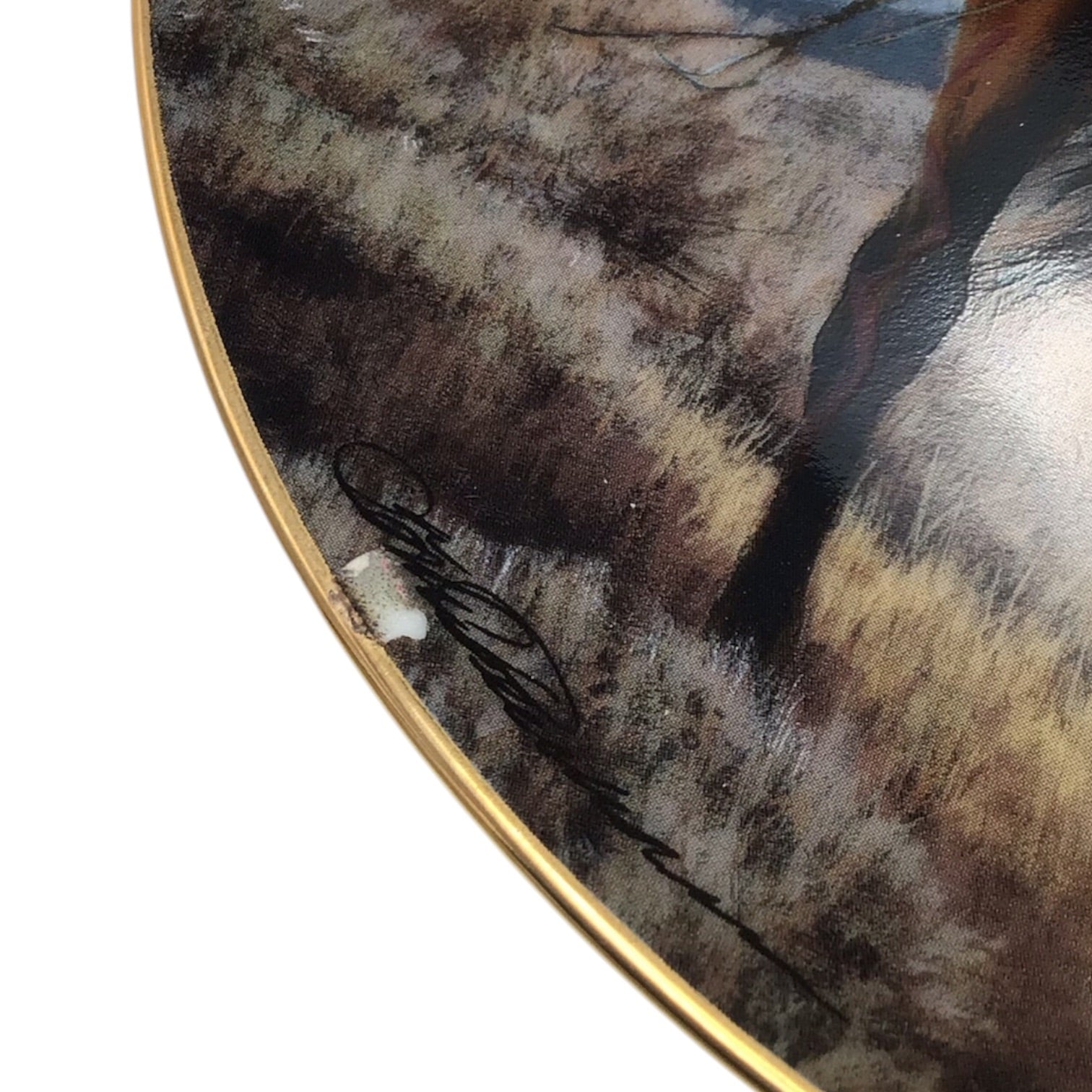 Proud Hunter Limited Edition Porcelain Decorative Plate