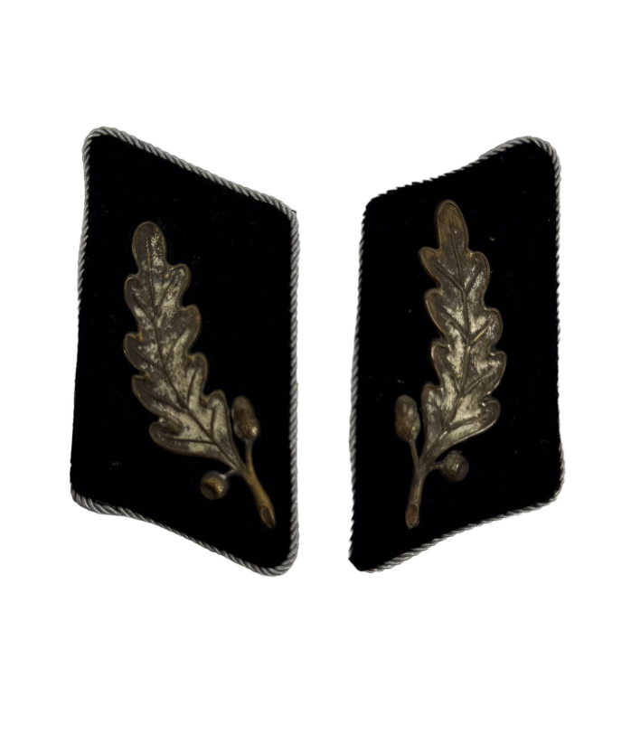 RARE German WW2 SA Standartenführer Collar Tabs (Pair)