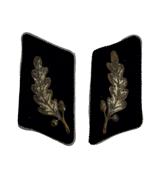 RARE German WW2 SA Standartenführer Collar Tabs (Pair)