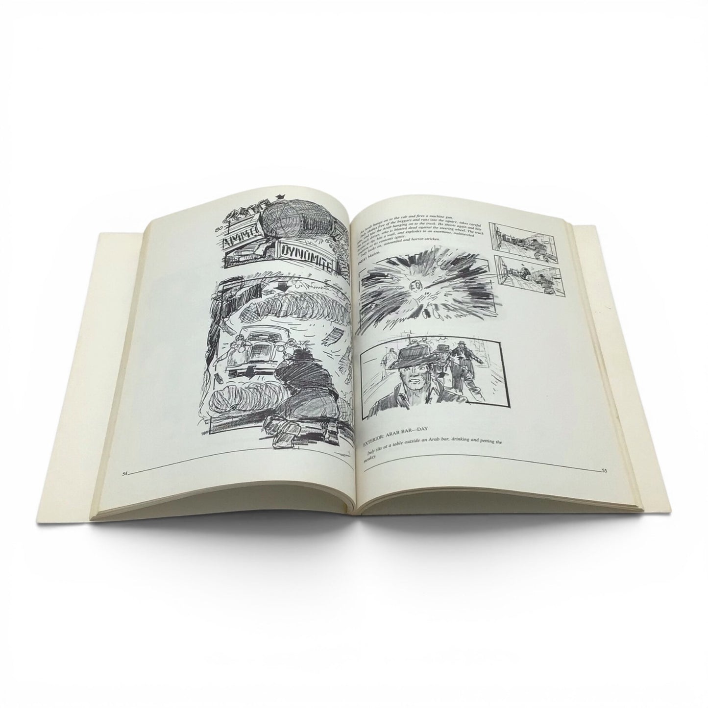 Raiders of the Lost Ark: The Illustrated Screenplay