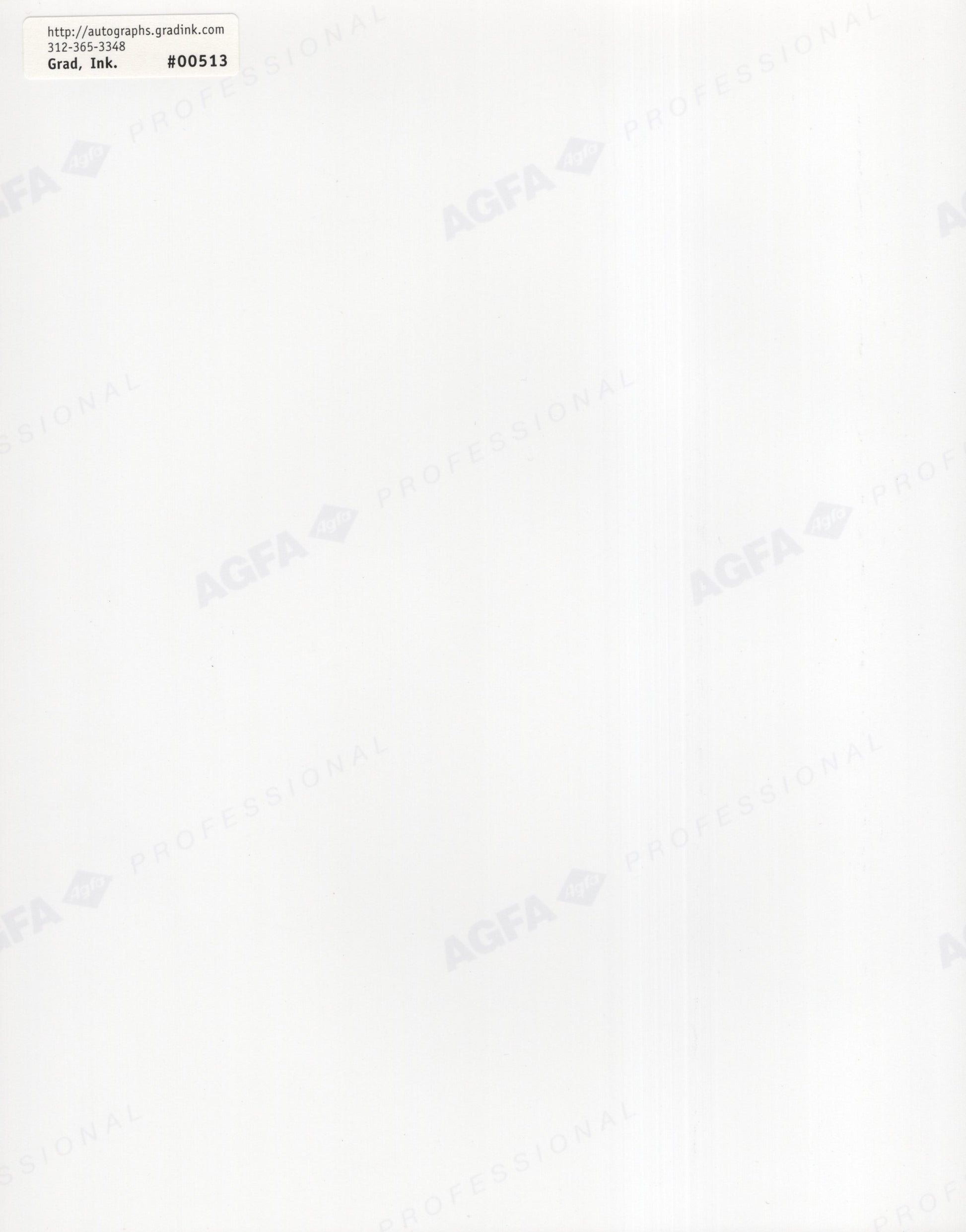 Sally Struthers Signed Photo 8x10, Sally Struthers Autograph in Black and White Dress, PSA Letter Certified Authentic