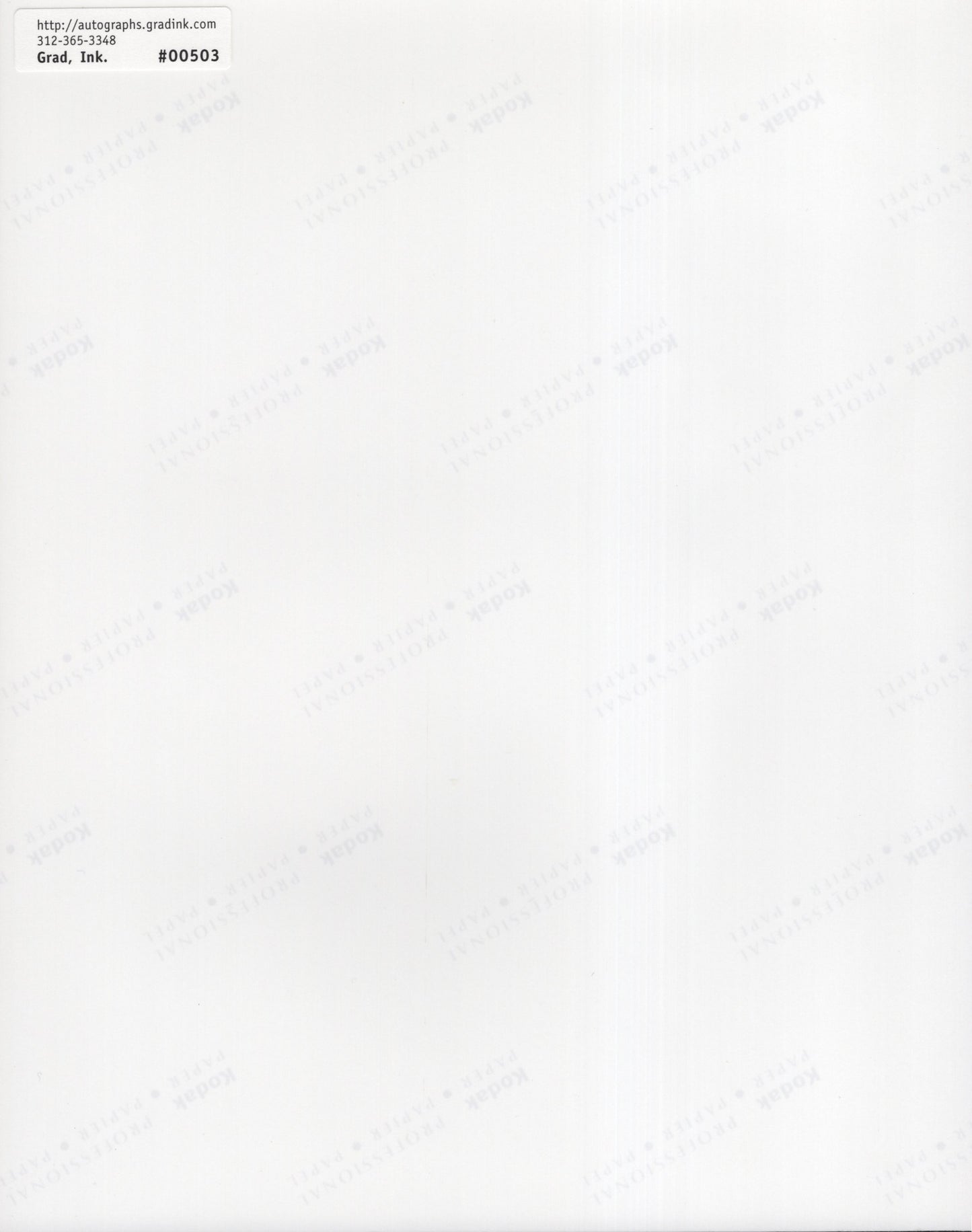 Sharon Stone Signed Photo 8x10, Sharon Stone Autograph Headshot, JSA and PSA Letter Double Certified Authentic UU42449