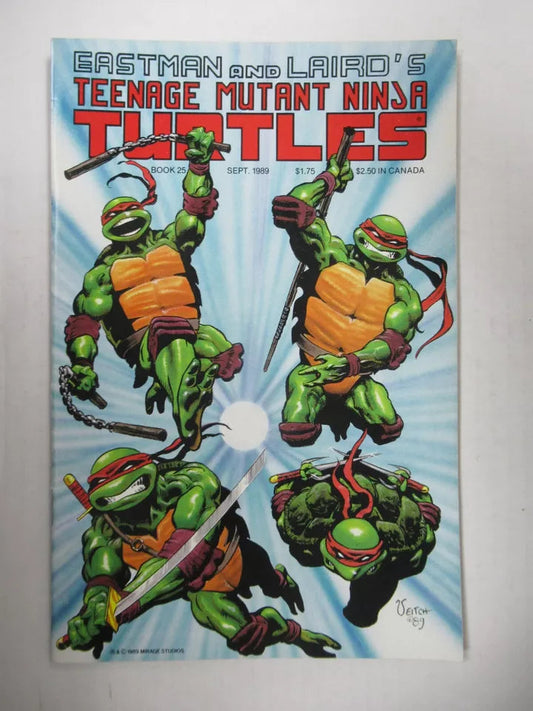 Teenage Mutant Ninja Turtles #25 (1989)