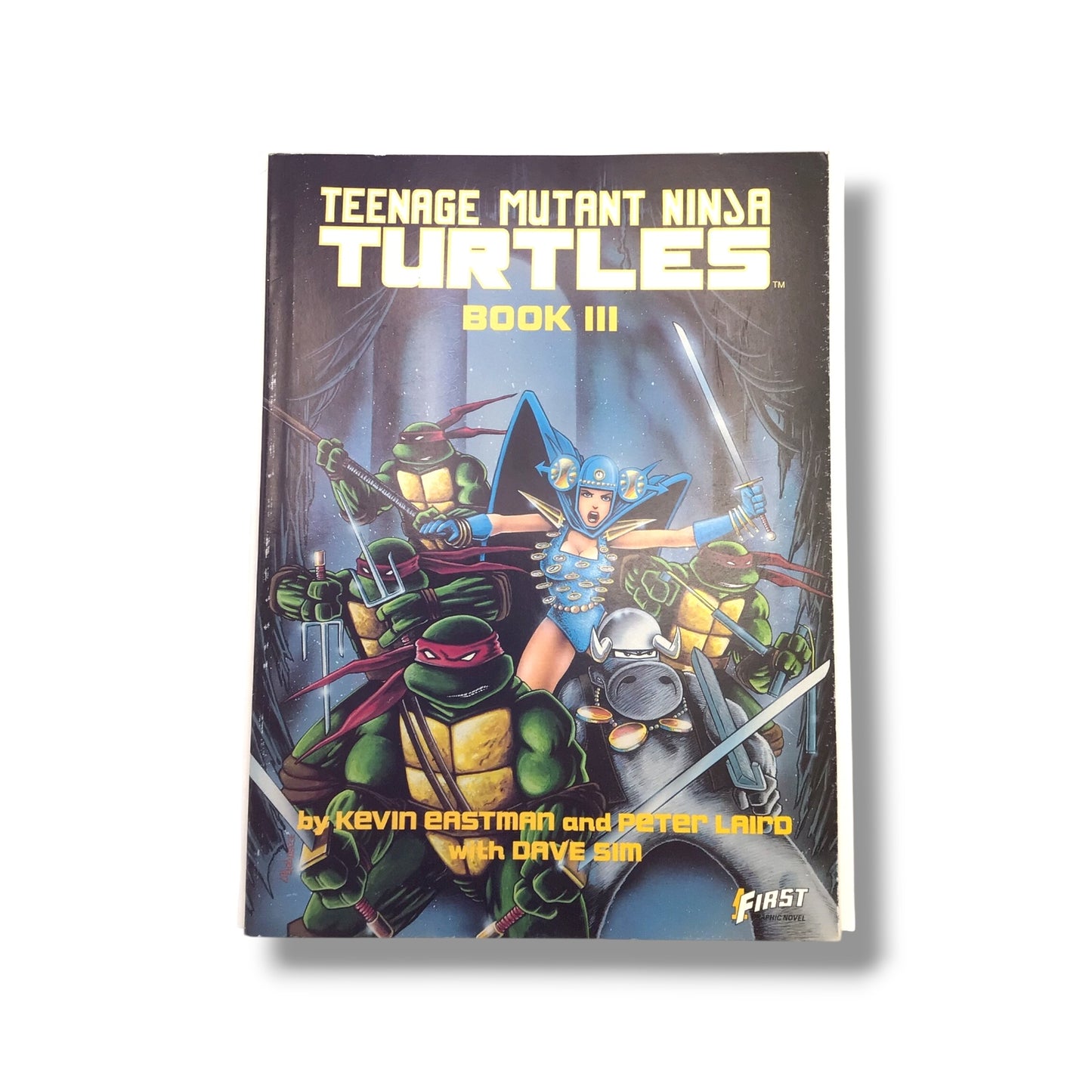 Teenage Mutant Ninja Turtles #3 (1987) Comic Book | First Graphic Novel