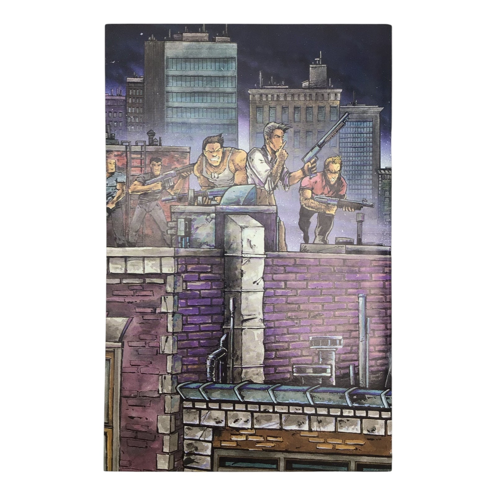 Teenage Mutant Ninja Turtles: Raphael #1 Mirage Studios Comic – Near Mint