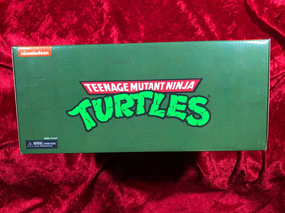 Teenage Mutant Ninja Turtles - Wingnut and Screwloose Figures