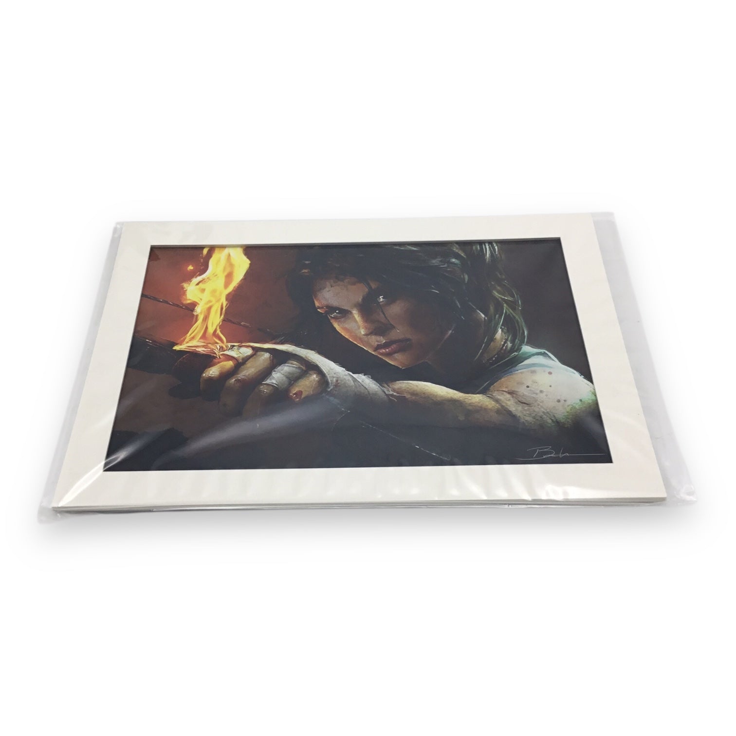 Tomb Raider Collector's Edition Survival Kit for Xbox One - No Game