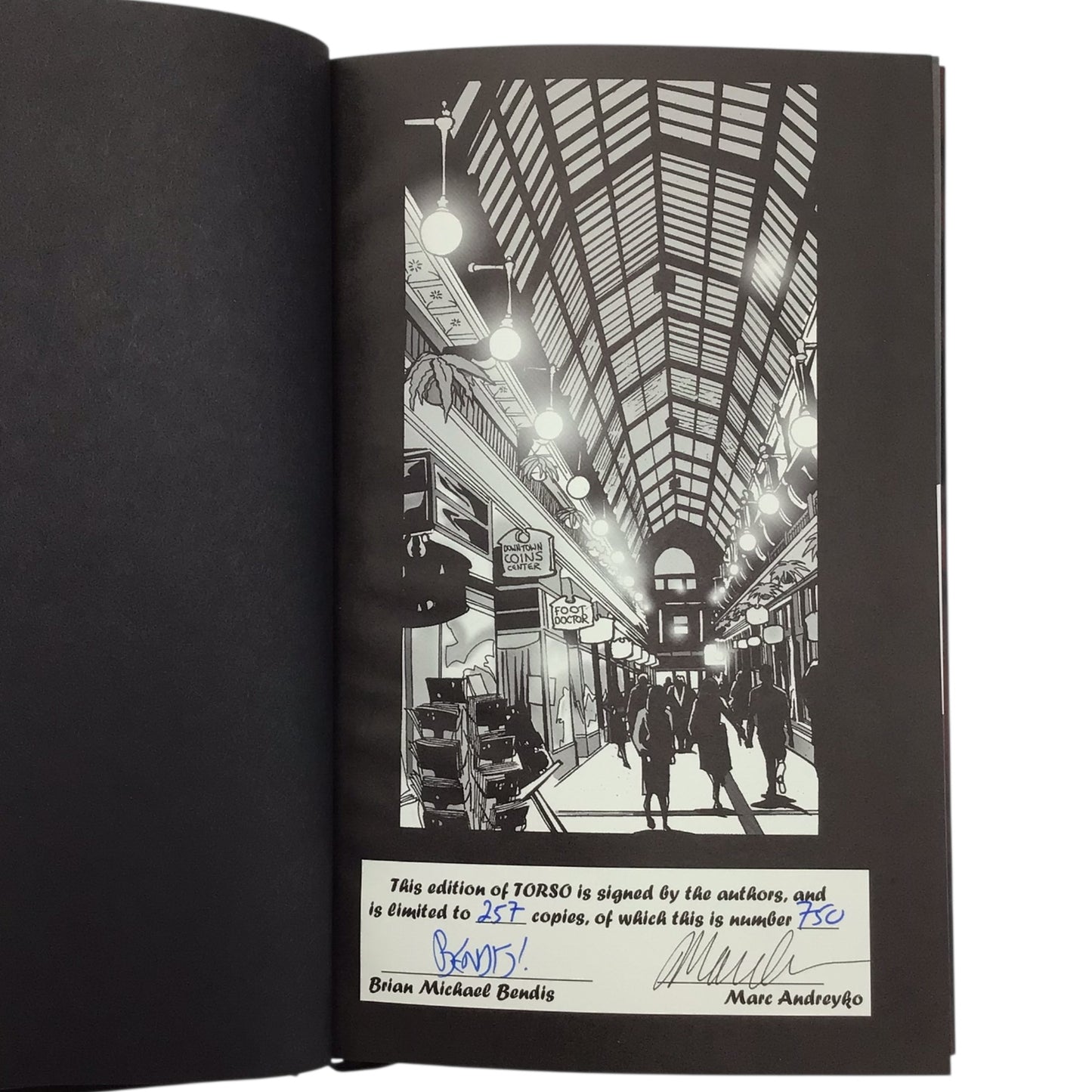 Torso: A True Crime Graphic Novel – Hardcover (Signed Limited Edition #257/750) by Brian Michael Bendis & Marc Andreyko