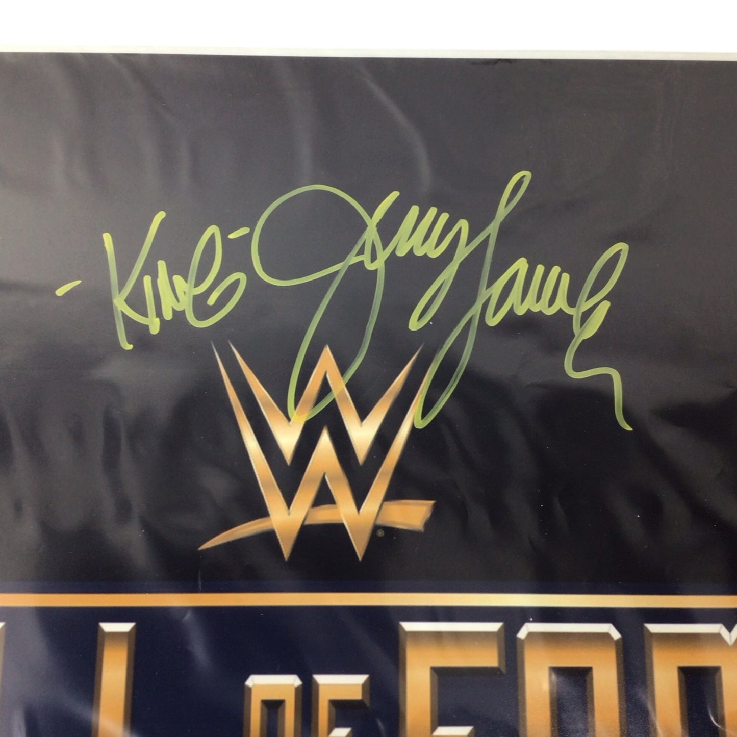 WWE Hall of Fame Jerry Lawler, Ricky Steamboat, Jimmy Hart, Brutus Beefcake, Koko B. Ware, & Bushwhacker Luke Signed 16x20 Photo
