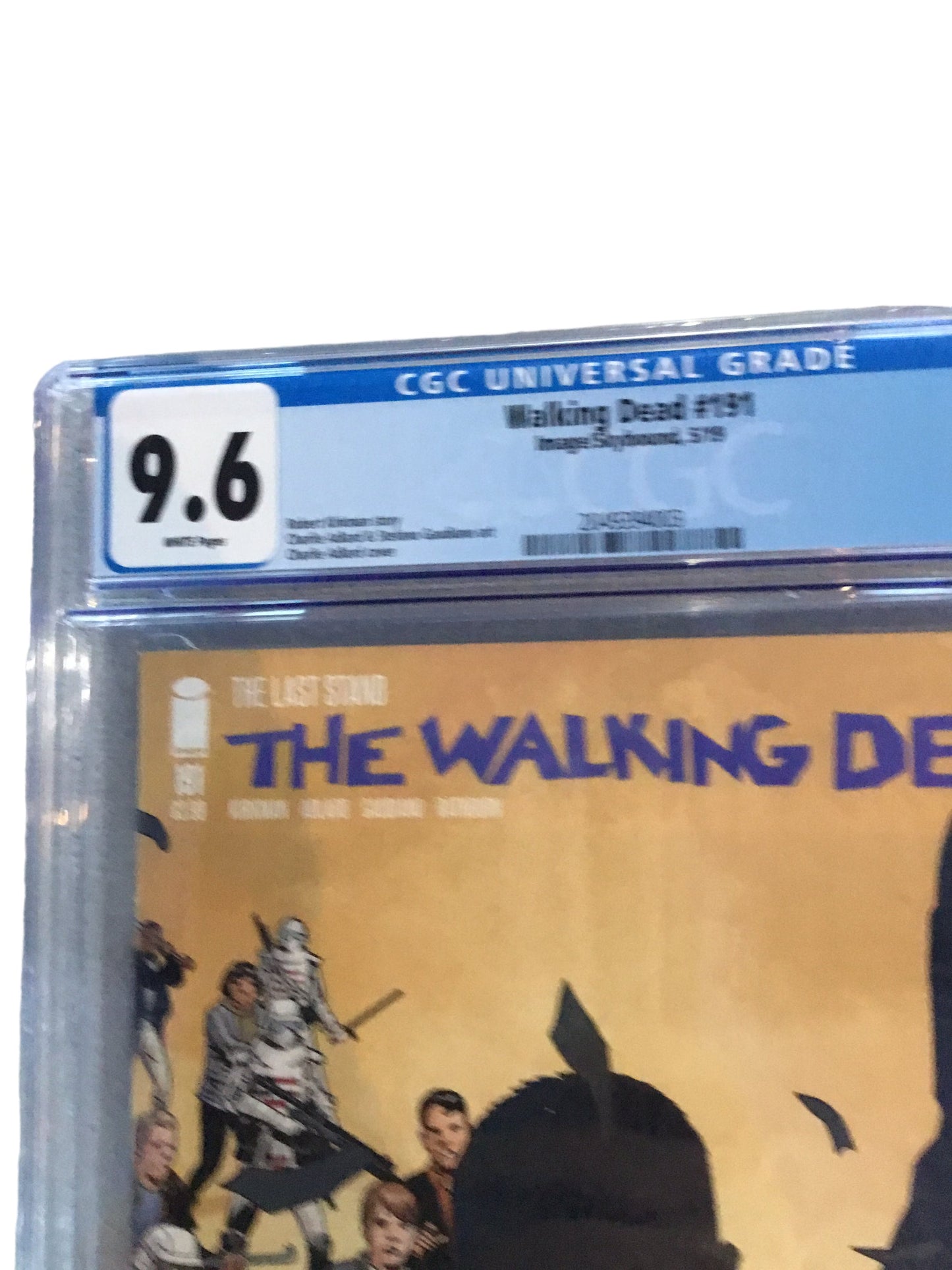 Walking Dead #191 - by Robert Kirkman & Charlie Adlard - IMAGE 2019 - CGC 9.6 (NM+)