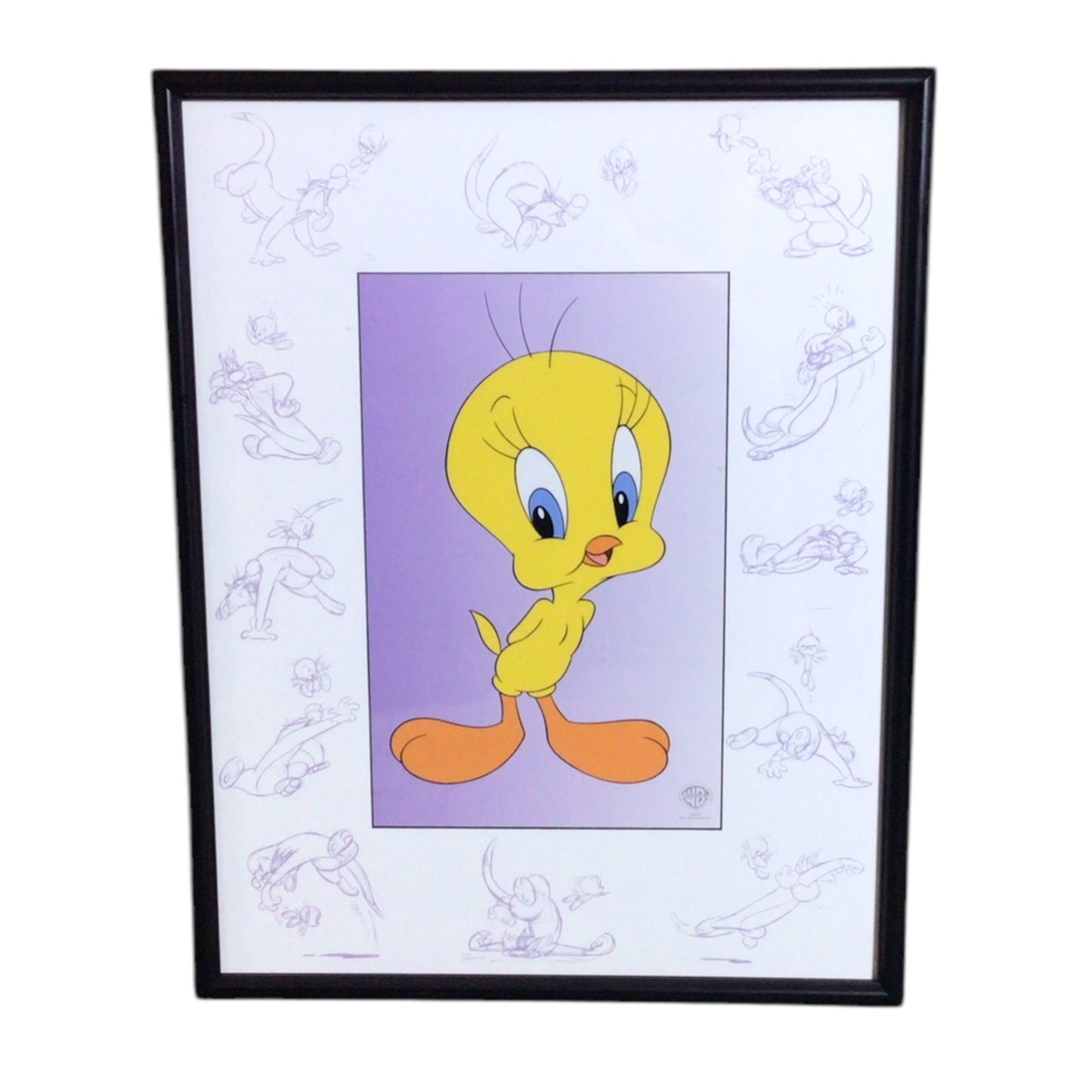 Warner Bros. Tweety Bird Sericel (Framed) - Limited Edition 576/1250 w/ COA