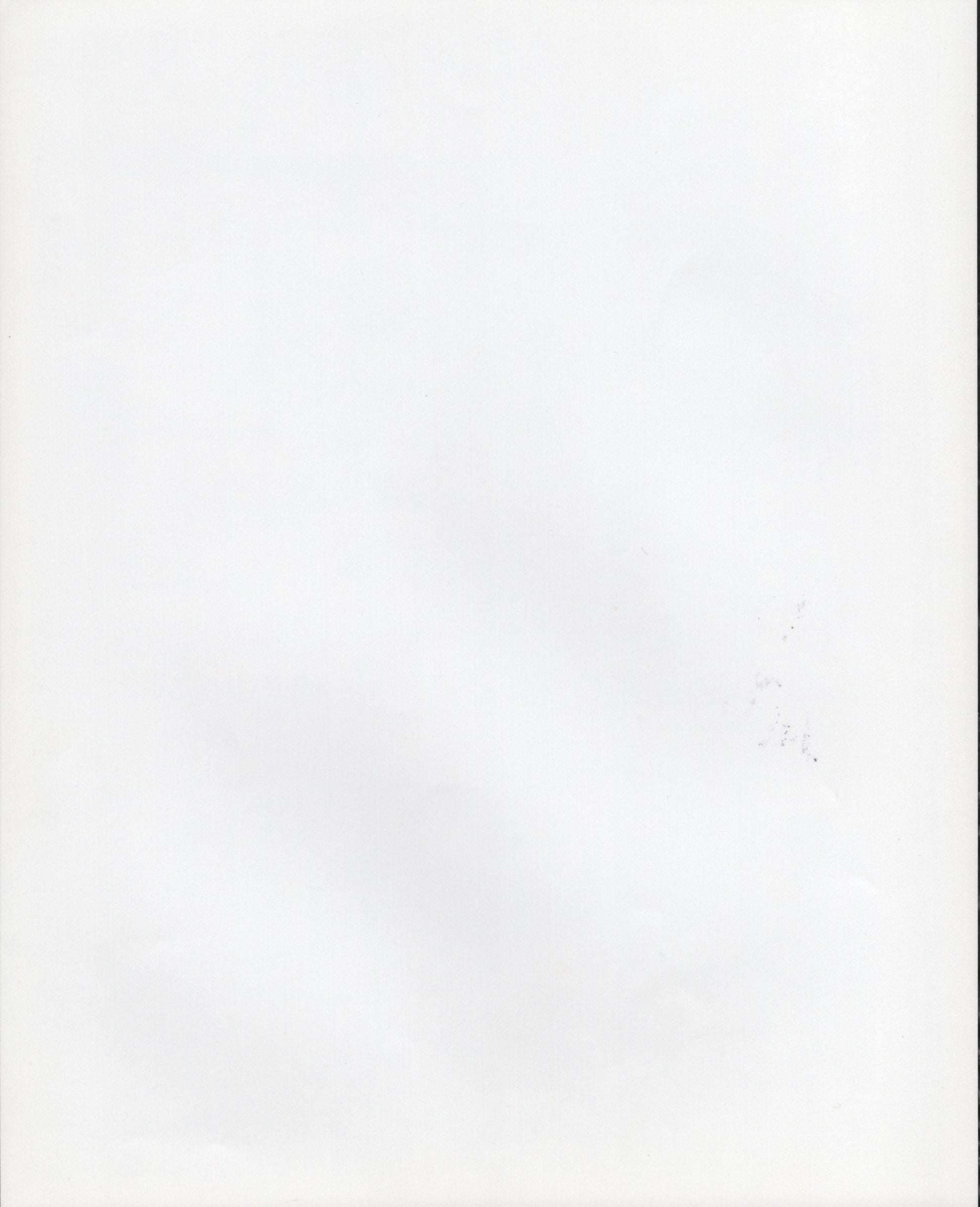 Woody Allen Signed Photo 8x10 – Broadway Danny Rose, Secretarial Signature